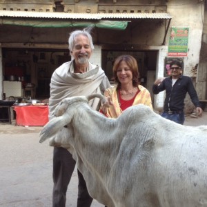 Jai and Yanni and Cow
